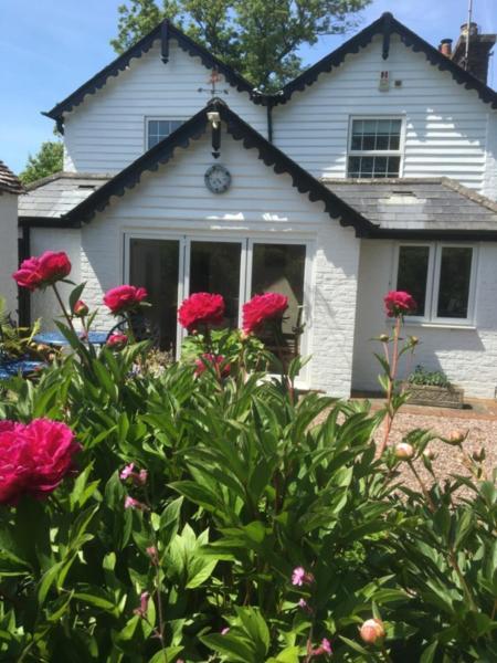 Wishing Well Cottage Wilmington  Buitenkant foto